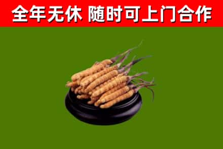建瓯市烟酒回收冬虫夏草.jpg